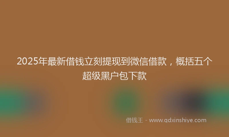 2025年最新借钱立刻提现到微信借款，概括五个超级黑户包下款