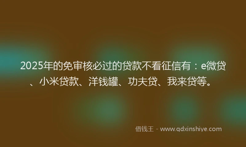 2025年的免审核必过的贷款不看征信有：e微贷、小米贷款、洋钱罐、功夫贷、我来贷等。
