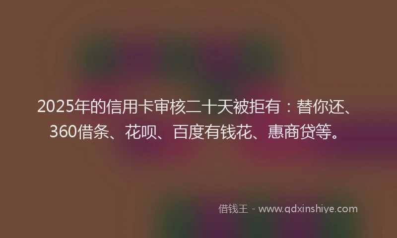 2025年的信用卡审核二十天被拒有：替你还、360借条、花呗、百度有钱花、惠商贷等。