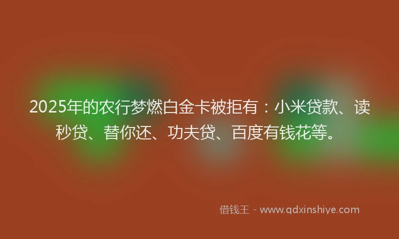 2025年的农行梦燃白金卡被拒有：小米贷款、读秒贷、替你还、功夫贷、百度有钱花等。