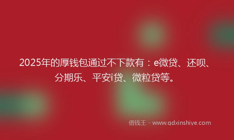 2025年的厚钱包通过不下款有：e微贷、还呗、分期乐、平安i贷、微粒贷等。