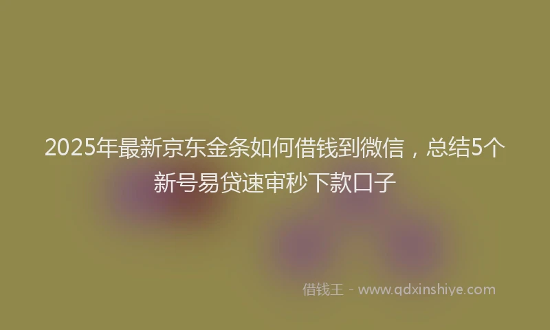 2025年最新京东金条如何借钱到微信，总结5个新号易贷速审秒下款口子