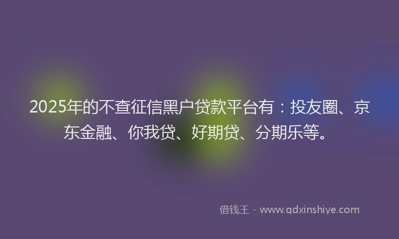 2025年的不查征信黑户贷款平台有：投友圈、京东金融、你我贷、好期贷、分期乐等。