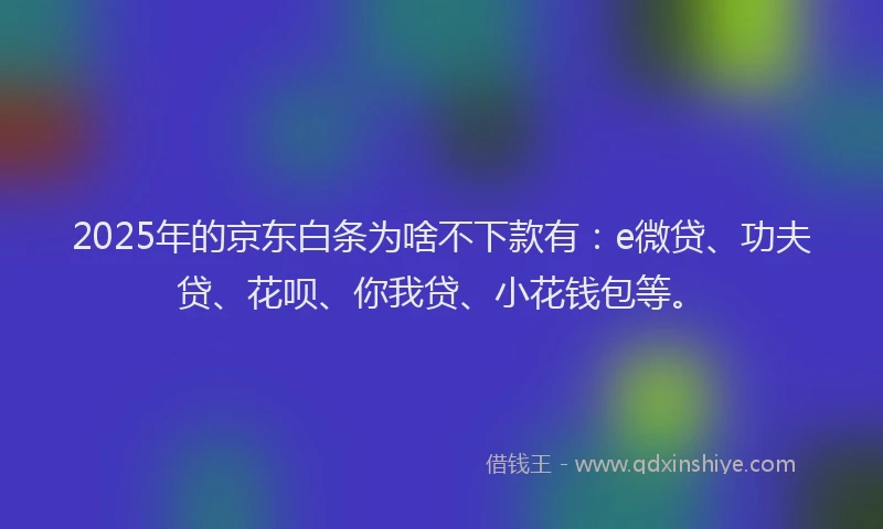 2025年的京东白条为啥不下款有：e微贷、功夫贷、花呗、你我贷、小花钱包等。