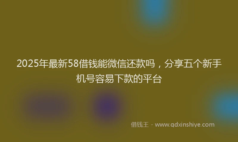 2025年最新58借钱能微信还款吗，分享五个新手机号容易下款的平台