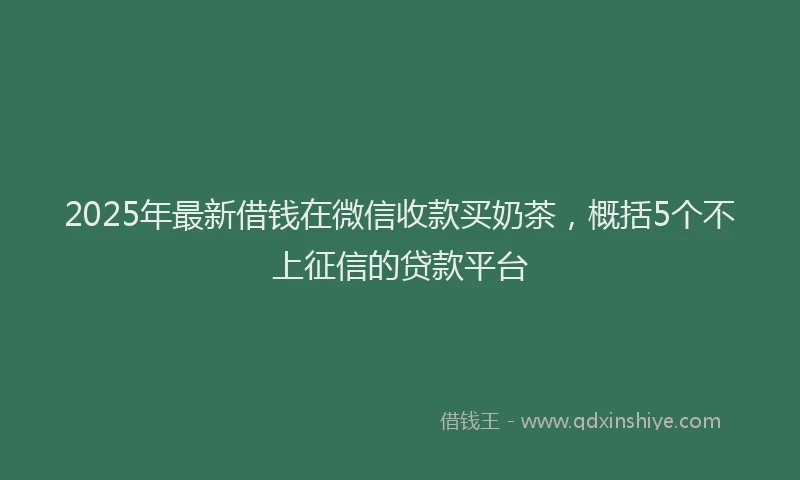 2025年最新借钱在微信收款买奶茶，概括5个不上征信的贷款平台
