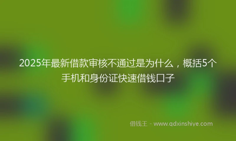 2025年最新借款审核不通过是为什么，概括5个手机和身份证快速借钱口子