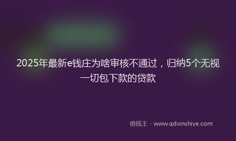 2025年最新e钱庄为啥审核不通过，归纳5个无视一切包下款的贷款