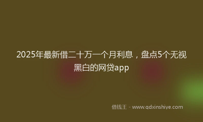 2025年最新借二十万一个月利息，盘点5个无视黑白的网贷app