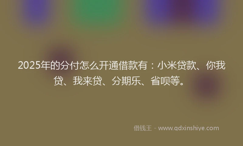 2025年的分付怎么开通借款有：小米贷款、你我贷、我来贷、分期乐、省呗等。