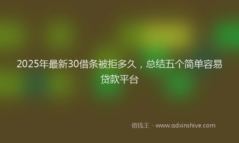 2025年最新30借条被拒多久，总结五个简单容易贷款平台