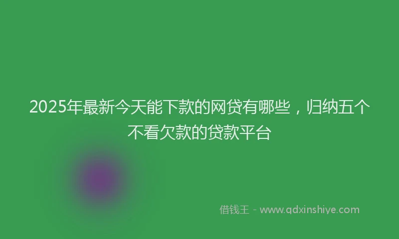 2025年最新今天能下款的网贷有哪些，归纳五个不看欠款的贷款平台