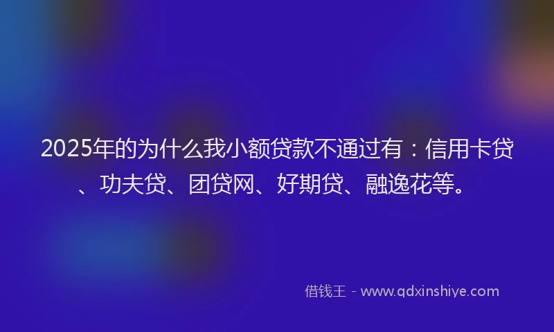 2025年的为什么我小额贷款不通过有：信用卡贷、功夫贷、团贷网、好期贷、融逸花等。