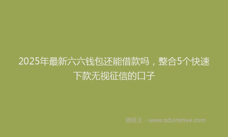 2025年最新六六钱包还能借款吗，整合5个快速下款无视征信的口子