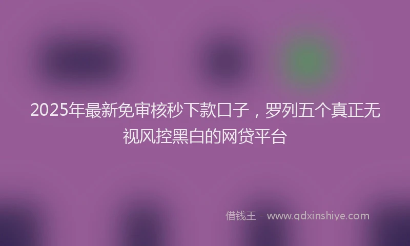 2025年最新免审核秒下款口子，罗列五个真正无视风控黑白的网贷平台