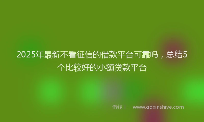 2025年最新不看征信的借款平台可靠吗，总结5个比较好的小额贷款平台