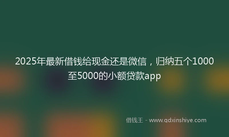 2025年最新借钱给现金还是微信，归纳五个1000至5000的小额贷款app