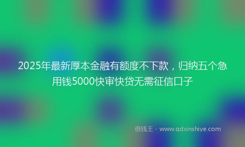 2025年最新厚本金融有额度不下款，归纳五个急用钱5000快审快贷无需征信口子