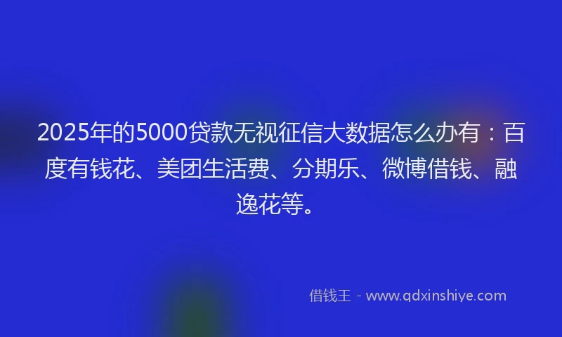 2025年的5000贷款无视征信大数据怎么办有：百度有钱花、美团生活费、分期乐、微博借钱、融逸花等。