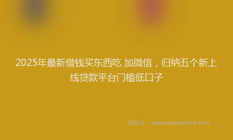 2025年最新借钱买东西吃 加微信，归纳五个新上线贷款平台门槛低口子