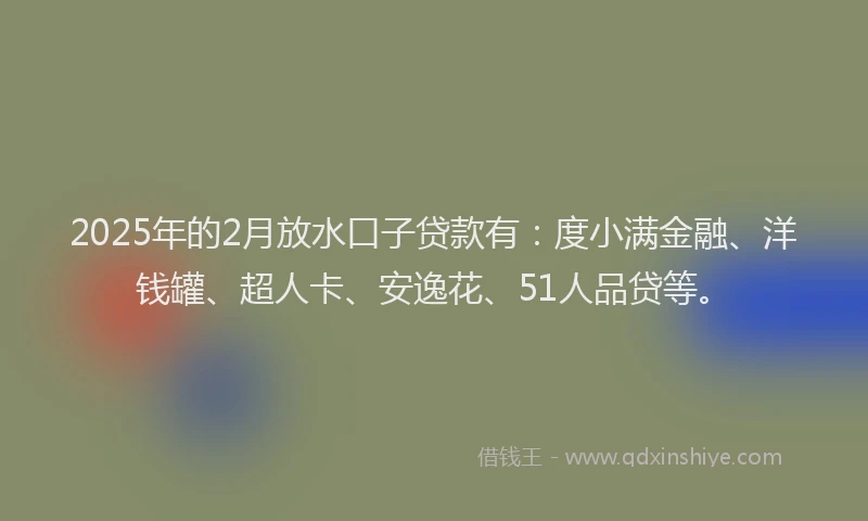 2025年的2月放水口子贷款有：度小满金融、洋钱罐、超人卡、安逸花、51人品贷等。