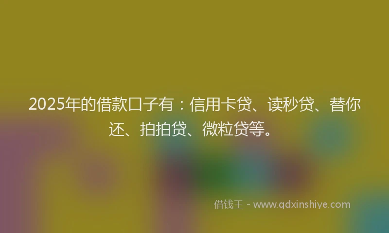 2025年的借款口子有：信用卡贷、读秒贷、替你还、拍拍贷、微粒贷等。