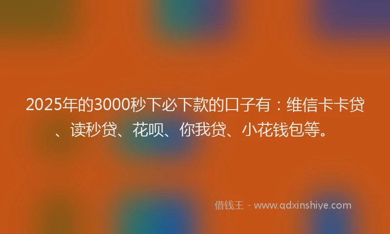 2025年的3000秒下必下款的口子有：维信卡卡贷、读秒贷、花呗、你我贷、小花钱包等。