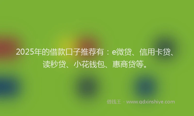 2025年的借款口子推荐有：e微贷、信用卡贷、读秒贷、小花钱包、惠商贷等。