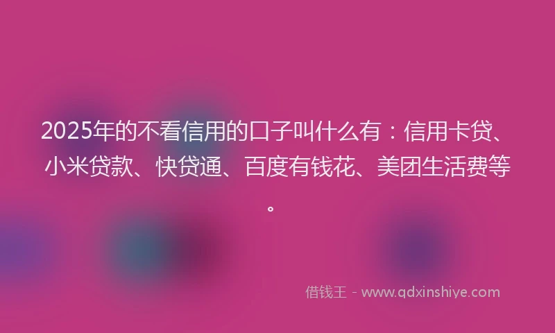 2025年的不看信用的口子叫什么有：信用卡贷、小米贷款、快贷通、百度有钱花、美团生活费等。