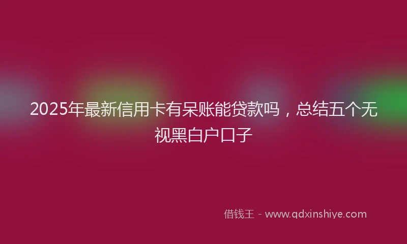 2025年最新信用卡有呆账能贷款吗，总结五个无视黑白户口子