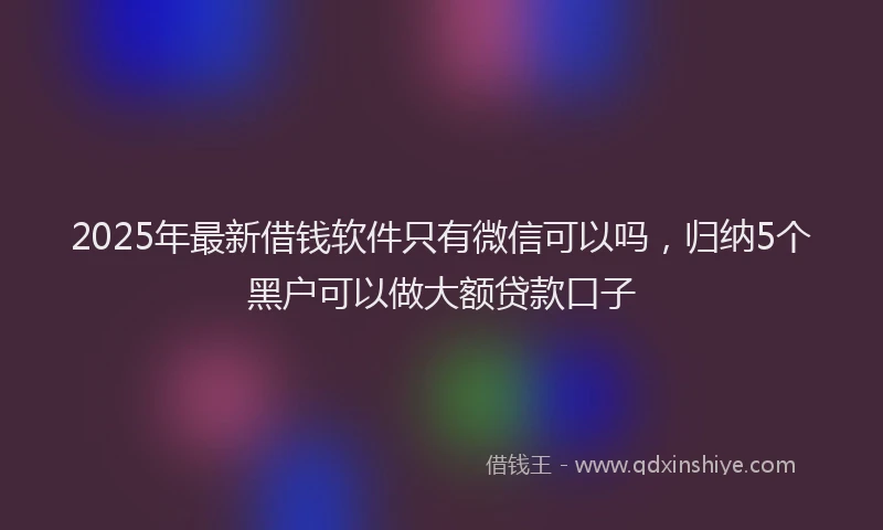 2025年最新借钱软件只有微信可以吗，归纳5个黑户可以做大额贷款口子