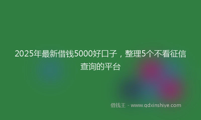 2025年最新借钱5000好口子，整理5个不看征信查询的平台