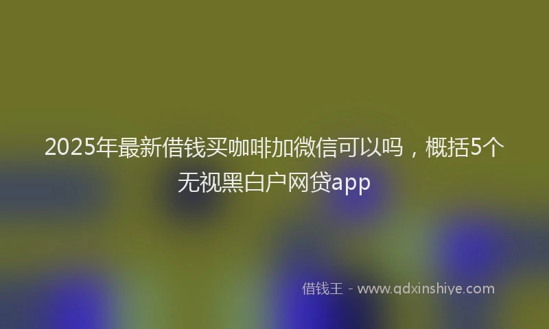 2025年最新借钱买咖啡加微信可以吗，概括5个无视黑白户网贷app