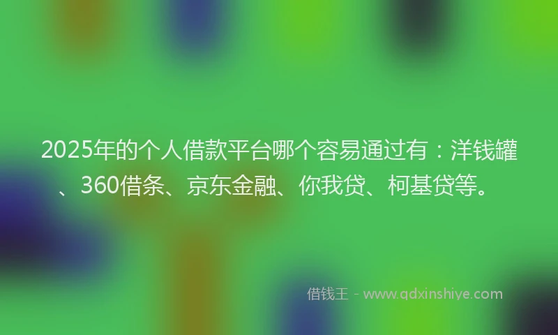 2025年的个人借款平台哪个容易通过有：洋钱罐、360借条、京东金融、你我贷、柯基贷等。