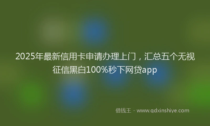 2025年最新信用卡申请办理上门，汇总五个无视征信黑白100%秒下网贷app