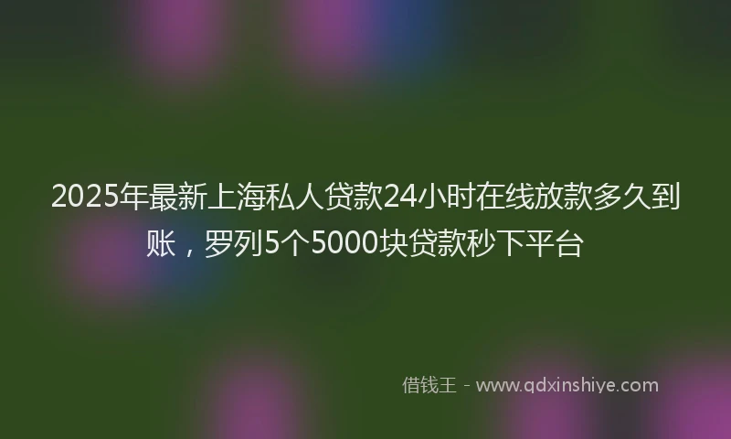 2025年最新上海私人贷款24小时在线放款多久到账，罗列5个5000块贷款秒下平台