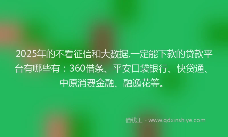 2025年的不看征信和大数据,一定能下款的贷款平台有哪些有：360借条、平安口袋银行、快贷通、中原消费金融、融逸花等。