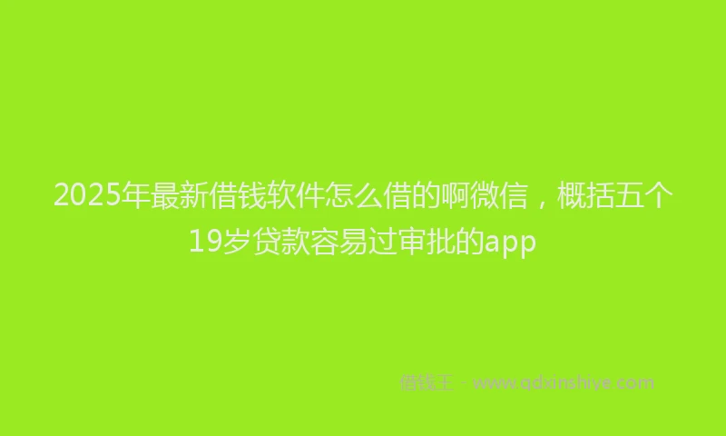 2025年最新借钱软件怎么借的啊微信，概括五个19岁贷款容易过审批的app