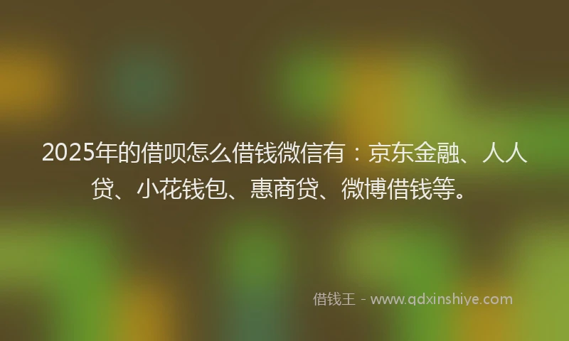 2025年的借呗怎么借钱微信有：京东金融、人人贷、小花钱包、惠商贷、微博借钱等。