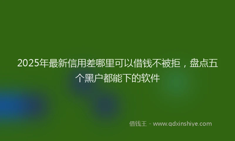 2025年最新信用差哪里可以借钱不被拒，盘点五个黑户都能下的软件
