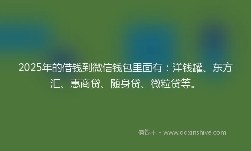 2025年的借钱到微信钱包里面有：洋钱罐、东方汇、惠商贷、随身贷、微粒贷等。