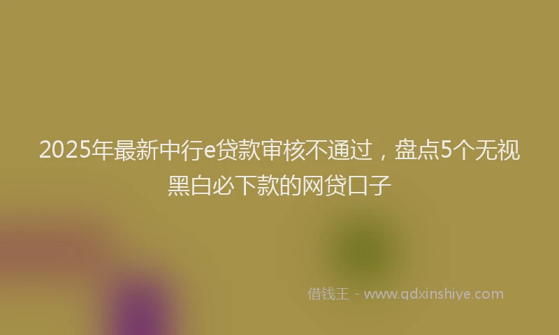 2025年最新中行e贷款审核不通过，盘点5个无视黑白必下款的网贷口子