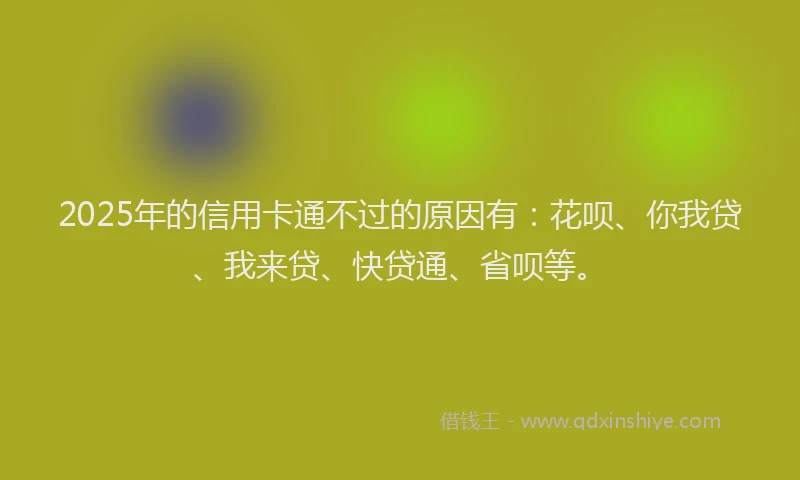 2025年的信用卡通不过的原因有：花呗、你我贷、我来贷、快贷通、省呗等。