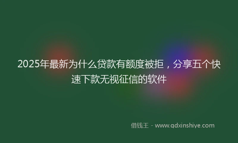 2025年最新为什么贷款有额度被拒，分享五个快速下款无视征信的软件