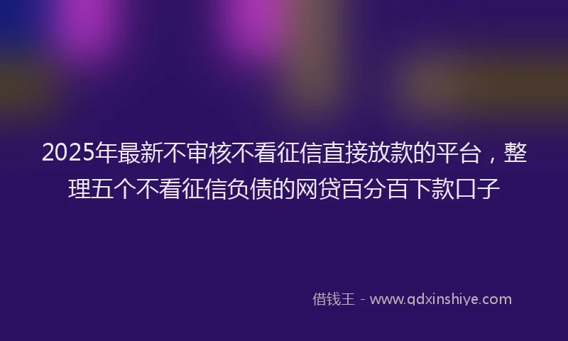 2025年最新不审核不看征信直接放款的平台，整理五个不看征信负债的网贷百分百下款口子