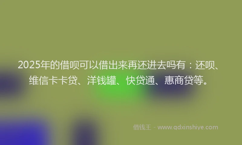 2025年的借呗可以借出来再还进去吗有：还呗、维信卡卡贷、洋钱罐、快贷通、惠商贷等。