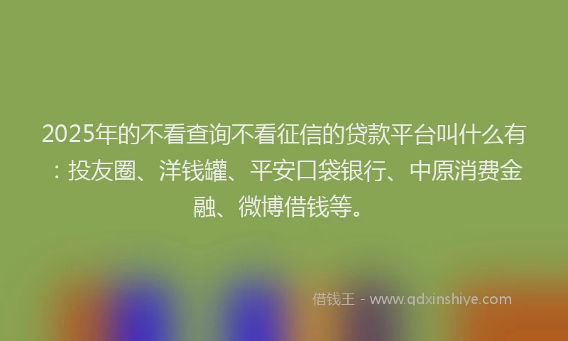 2025年的不看查询不看征信的贷款平台叫什么有：投友圈、洋钱罐、平安口袋银行、中原消费金融、微博借钱等。