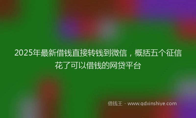 2025年最新借钱直接转钱到微信，概括五个征信花了可以借钱的网贷平台