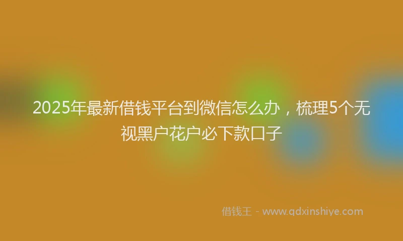 2025年最新借钱平台到微信怎么办，梳理5个无视黑户花户必下款口子