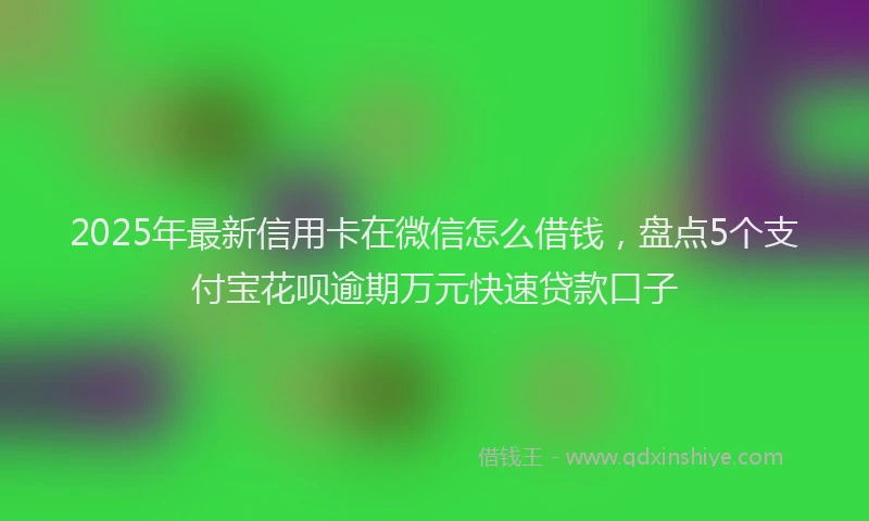 2025年最新信用卡在微信怎么借钱，盘点5个支付宝花呗逾期万元快速贷款口子